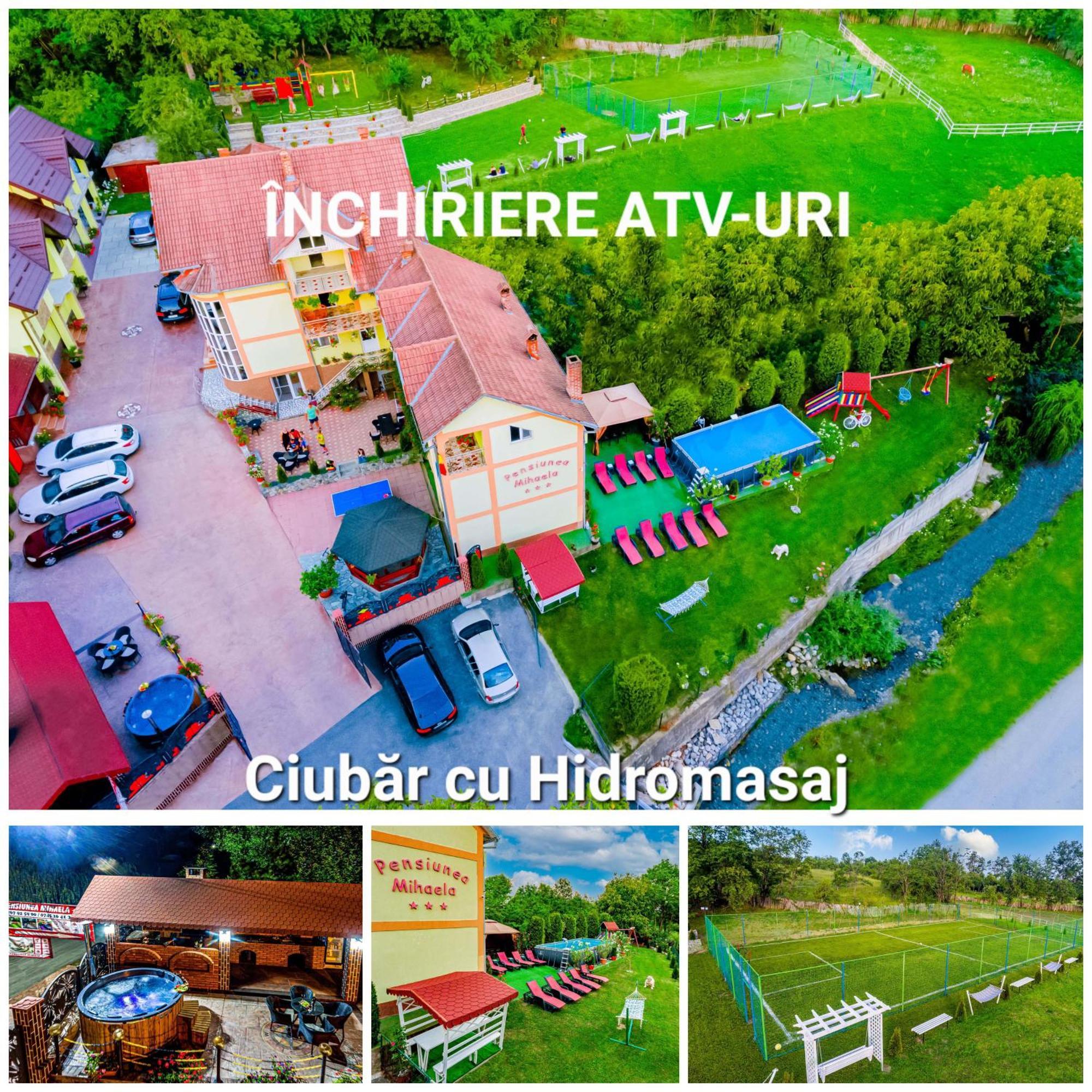 Pensiunea Mihaela-Transalpina Novaci-Straini Exterior photo